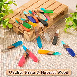 20pcs 10 estilos de resina y colgantes grandes de madera de nogal&nbsp;BT-TAC0013-02