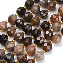Chapelets de perles en bois pétrifié naturel&nbsp;GG-CBA4A3B-A08
