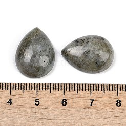 Natur Labradorit Cabochons&nbsp;G-H094-01A-19