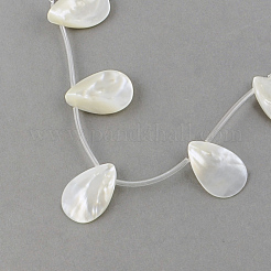Chapelets de perles en coquillage naturel&nbsp;SSHEL-Q296-01