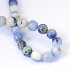 Chapelets de perle ronde en sodalite naturelle&nbsp;G-E334-6mm-08