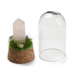 Natürliche Rosenquarz-Kugel-Display-Dekoration mit Glaskuppel-Cloche-Abdeckung&nbsp;DJEW-B009-02G