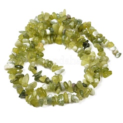 Natürliche Jade Chip Perlen Stränge&nbsp;G-B160-B02