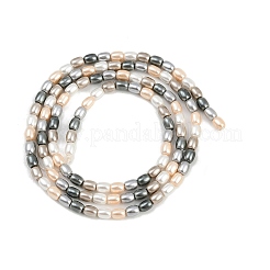 Fili di perle di conchiglie galvanizzate&nbsp;BSHE-H113-06A-03