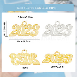 20 Stück 2 Farben Legierungsanhänger&nbsp;FIND-SC0004-10