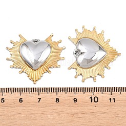 Valentinstag 304 Edelstahlanhänger&nbsp;STAS-G398-01GP