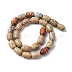 Natürliche Aqua Terra Jaspis Perlen Stränge&nbsp;G-L624-C03-14x10mm