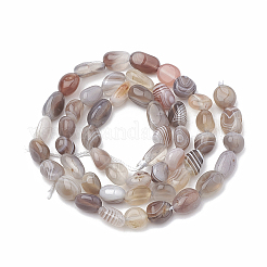 Natur Botswana Achat Perlen Stränge&nbsp;X-G-S331-8x10-010