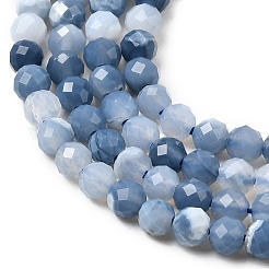Brins de perles d'opale bleu naturel&nbsp;G-P603-C-3mm-04