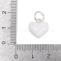 Legierung Emaille Anhänger / charms&nbsp;PALLOY-R158-03S-01