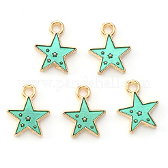 Legierung Emaille Anhänger / charms&nbsp;X-ENAM-S121-028B