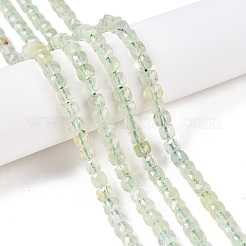 Perline Prehnite naturale fili&nbsp;G-N342-125