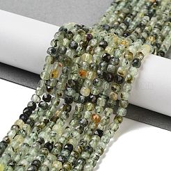 Perline Prehnite naturale fili&nbsp;LS-G-B088-E16-04