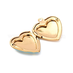 Pendentifs médaillon en forme de cœur en acier inoxydable 304&nbsp;STAS-Z168-02G-05