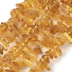 Perles d'ambre naturel brins&nbsp;G-L095-D01-03