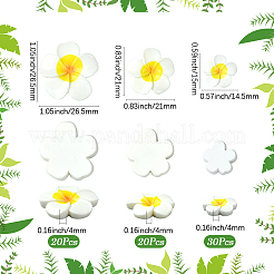 3 Stile Kunststoff-Cabochons&nbsp;FIND-SC0019-49