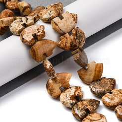 Natürliches Bild Jaspis Perlen Stränge&nbsp;G-F783-G03-01