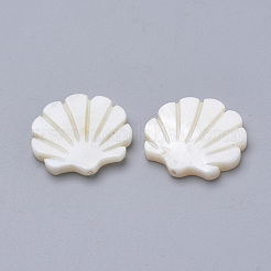 Perles de coquillages naturels d'eau douce&nbsp;X-SHEL-T007-03