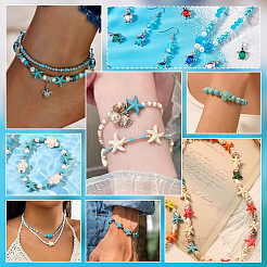DIY-Kits zum Befestigen von Schildkröten&nbsp;FIND-PH0027-78
