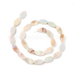 Eau douce naturelle de coquillage perles brins&nbsp;SHEL-T009-22