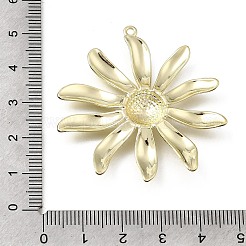 Aluminium Anhänger & Charms&nbsp;PALLOY-B016-05G