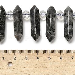 Natürliche Larvikit-Doppelendperlenstränge&nbsp;G-H069-A06-01
