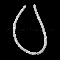 Fili di perle di conchiglia trochid naturale / trochus&nbsp;SH-CBA2978-18A