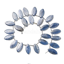 Natürliche kyanite Perlen Stränge&nbsp;G-H335-H01-12x15mm