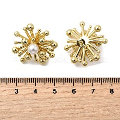 Pendientes de flor de latón&nbsp;EJEW-H171-05G