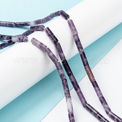 Natürliche Lepidolith / lila Glimmer Steinperlen Stränge&nbsp;LS-G-F247-45