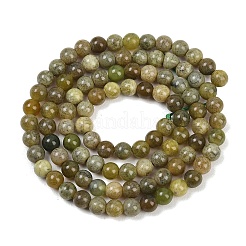 Natürliche Kanada Jade Perlenstränge&nbsp;G-B171-B01-4mm