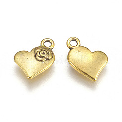 Tibetischer stil Aluminium Anhänger & Charms&nbsp;TIBEP-ZN40251-G-LF