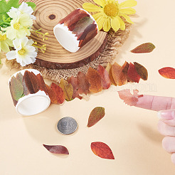 Autocollants en papier à feuilles d'automne pour la création de cartes&nbsp;DIY-TAC0032-23C