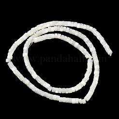 Hebras de cuentas de concha de trochus natural&nbsp;BSHE-E030-09B-01