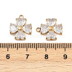 Ciondoli in acciaio inossidabile 304 con micro pavé di zirconi cubici&nbsp;STAS-I352-07G-B01