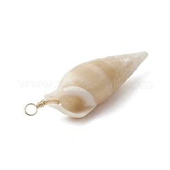Natürliche Spirale Shell Anhänger&nbsp;PALLOY-JF02951