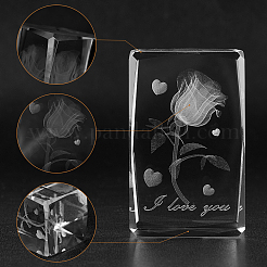 Transparente Glasdisplaydekorationen&nbsp;DJEW-WH0010-42