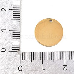 Anhänger aus 304 Edelstahl&nbsp;STAS-H249-15G