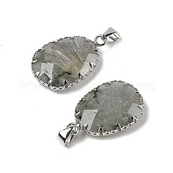 Natur Labradorit Anhänger&nbsp;G-H086-01P-05