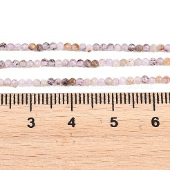 Natürliche lila Rutilquarz Perlen Stränge&nbsp;G-RM250104-D7
