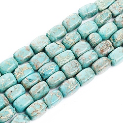 Fili di perle di diaspro imperiale naturale, tinto, rettangolo, turchese, 5.2~8.2x4.8~5.3x4.8~5.3mm, Foro: 1 mm, circa 47pcs/filo, 15.35 pollice (39 cm)