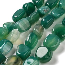 Chapelets de perles d'agate naturelle, teints et chauffée, pépites, pierre roulée, vert de mer moyen, 14~15x10~14x8~9.5mm, Trou: 1.6mm, Environ 12~13 pcs/chapelet, 7.09~7.48'' (18~19 cm)