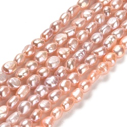 Fili di perle di perle d'acqua dolce coltivate naturali, due lati lucido, grado aaa, salmone chiaro, 5.5~6x4~5x3.5~4mm, Foro: 0.5 mm, circa 58pcs/filo, 13.78 pollice (35 cm)