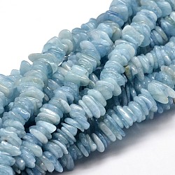 Chapelets de perles de puces aigue-marine naturelles, 9~15x9~15mm, Trou: 1mm, environ 15.3 pouce ~ 15.9 pouces