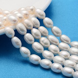 Natural Cultured Freshwater Pearl Beads Strands, Rice, Creamy White, 7~8mm, Hole: 0.8mm, about 34~35pcs/strand, 13.77 inch~14.17 inch