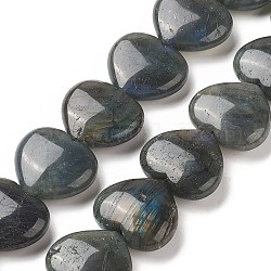 Chapelets de perles en labradorite naturelle , cœur, 24~26x28~28.5x9~12mm, Trou: 1.5mm, Environ 15 pcs/chapelet, 15.04~15.55 pouce (38.2~39.5 cm)