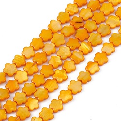 Натуральные пресноводные окрашенные бусы из ракушек, цветок, оранжевые, 8x8.5x3 мм, отверстие : 0.6 мм, около 49 шт / нитка, 15.35'' (39 см)
