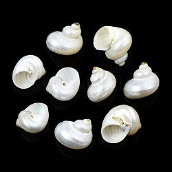 Perles de coquillage en spirale naturelle, sans trou, coquille, 21~29x21~29x17~25mm