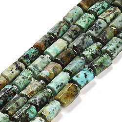Brins de perles turquoises africaines naturelles (jaspe), avec des perles de rocaille, colonne facettes, 9~11x6~7.5x6~7.5mm, Trou: 1.2mm, Environ 30 pcs/chapelet, 15.16~15.55 pouce (38.5~39.5 cm)