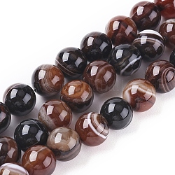 Chapelets de perles en agate à rayures naturelles/agates à bandes, teints et chauffée, ronde, brun coco, 10mm, Trou: 1.2mm, Environ 37 pcs/chapelet, 14.65 pouce (37.2 cm)